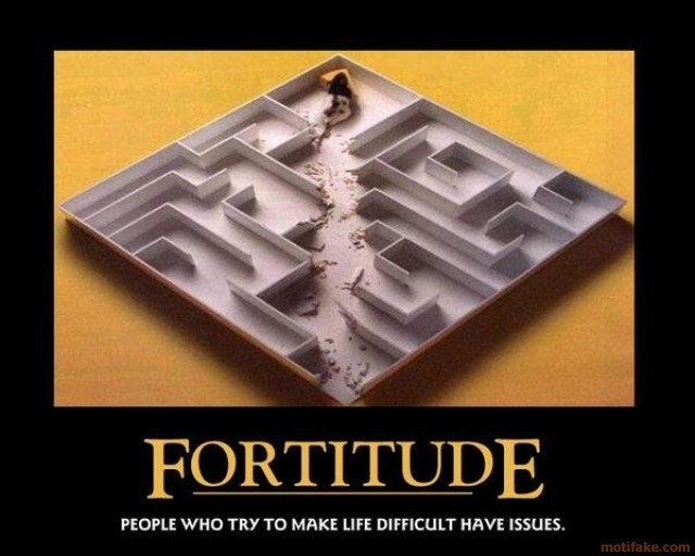 fortitude-mouse-maze-demotivational-post